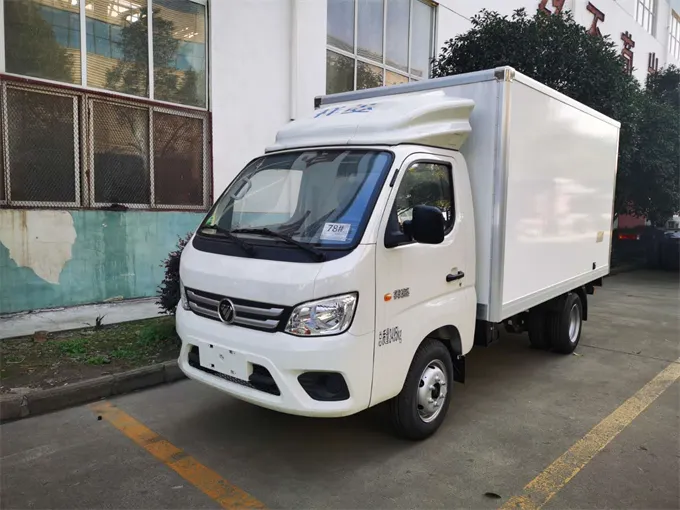 Foton 4x2 Small Frozen Food Transport Truck