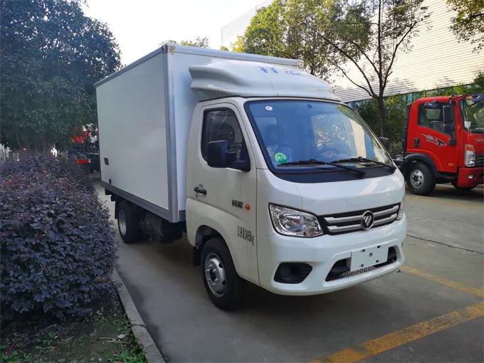 Foton 4x2 Small Frozen Food Transport Truck Picture