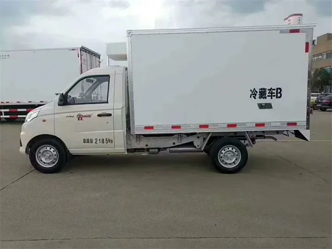 Foton 4x2 mini ice cream delivery truck Picture