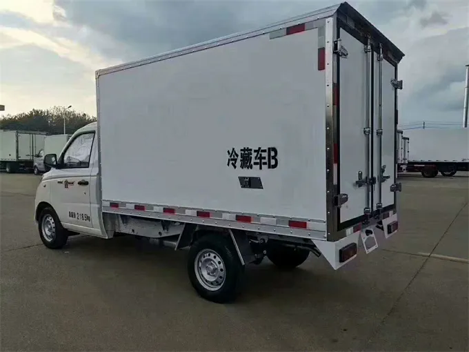 Foton 4x2 mini ice cream delivery truck Picture