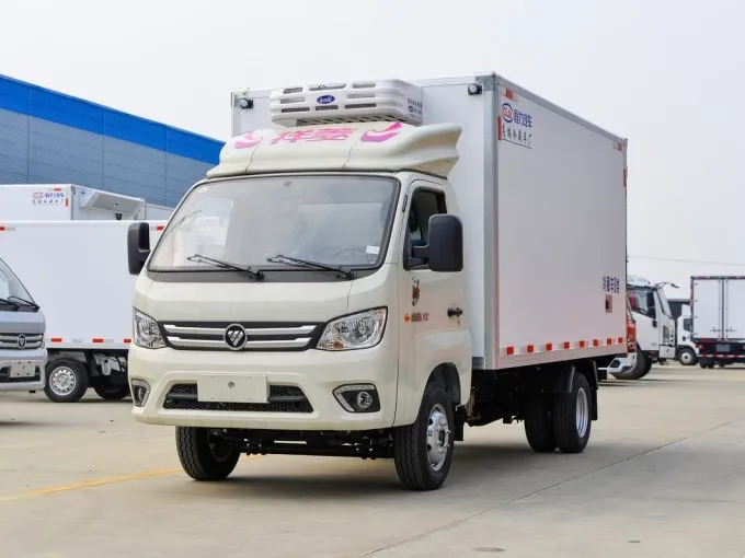 Foton 4x2 1 ton Refrigerated truck