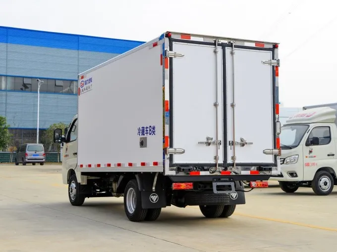 Foton 4x2 1 ton Refrigerated truck Picture