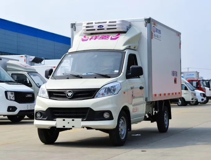 Foton small 1 ton refrigerated box truck