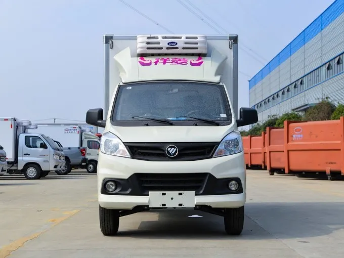 Foton small 1 ton refrigerated box truck Picture