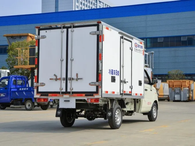 Foton small 1 ton refrigerated box truck Picture