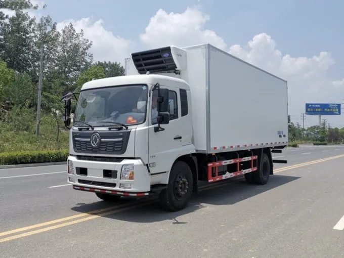 Dongfeng 4x2 6.6m Refrigerator Truck