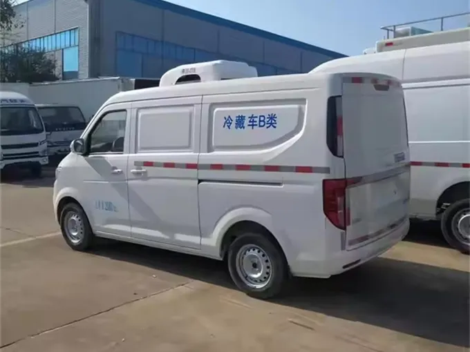 Chang an mini refrigerated van Picture